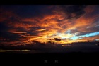 dailyPhoto20