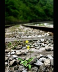 dailyPhoto20