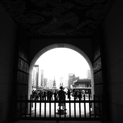 dailyPhoto38