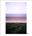 dailyPhoto8