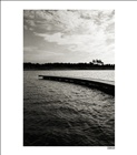 dailyPhoto20