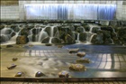 dailyPhoto1