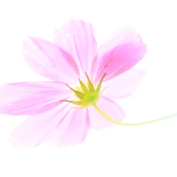 dailyPhoto10