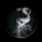 dailyPhoto19