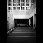 dailyPhoto21