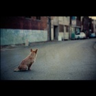 dailyPhoto8