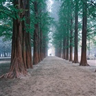 dailyPhoto14