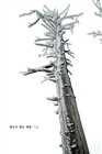 dailyPhoto11