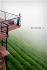 dailyPhoto9