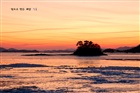 dailyPhoto6