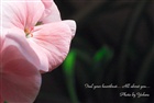 dailyPhoto35