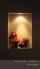 dailyPhoto4
