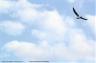 dailyPhoto3