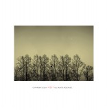 dailyPhoto9