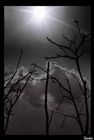 dailyPhoto37