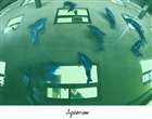 dailyPhoto38