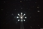 dailyPhoto12