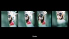 dailyPhoto35