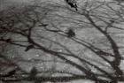 dailyPhoto20