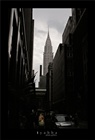 dailyPhoto3