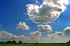 dailyPhoto4