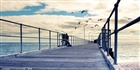 dailyPhoto7