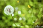 dailyPhoto4