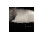 dailyPhoto9