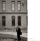 dailyPhoto8