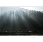 dailyPhoto39