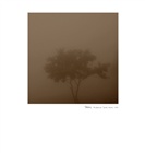 dailyPhoto5