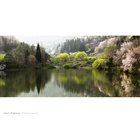 dailyPhoto7