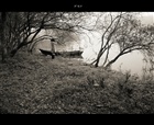 dailyPhoto11