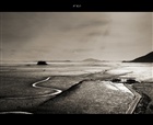 dailyPhoto21