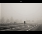 dailyPhoto17