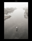 dailyPhoto40