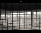 dailyPhoto36