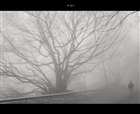 dailyPhoto10