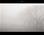 dailyPhoto12