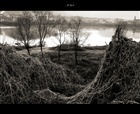 dailyPhoto36