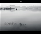 dailyPhoto25