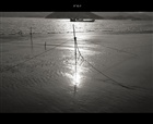 dailyPhoto23