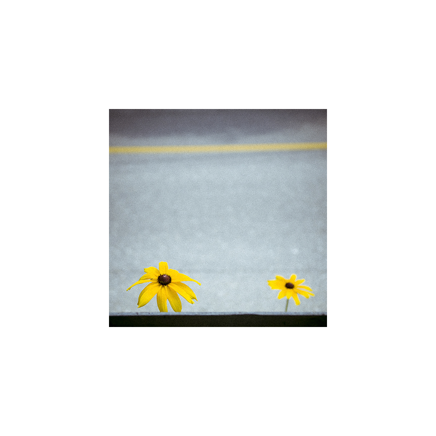 gallery_image