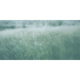 dailyPhoto33