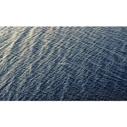 dailyPhoto21