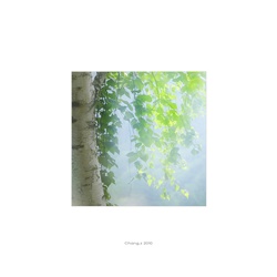 dailyPhoto9
