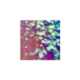 dailyPhoto20