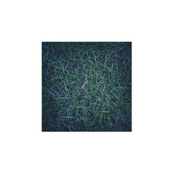dailyPhoto9
