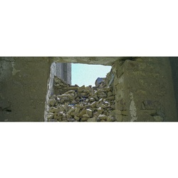 dailyPhoto1