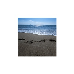 dailyPhoto33